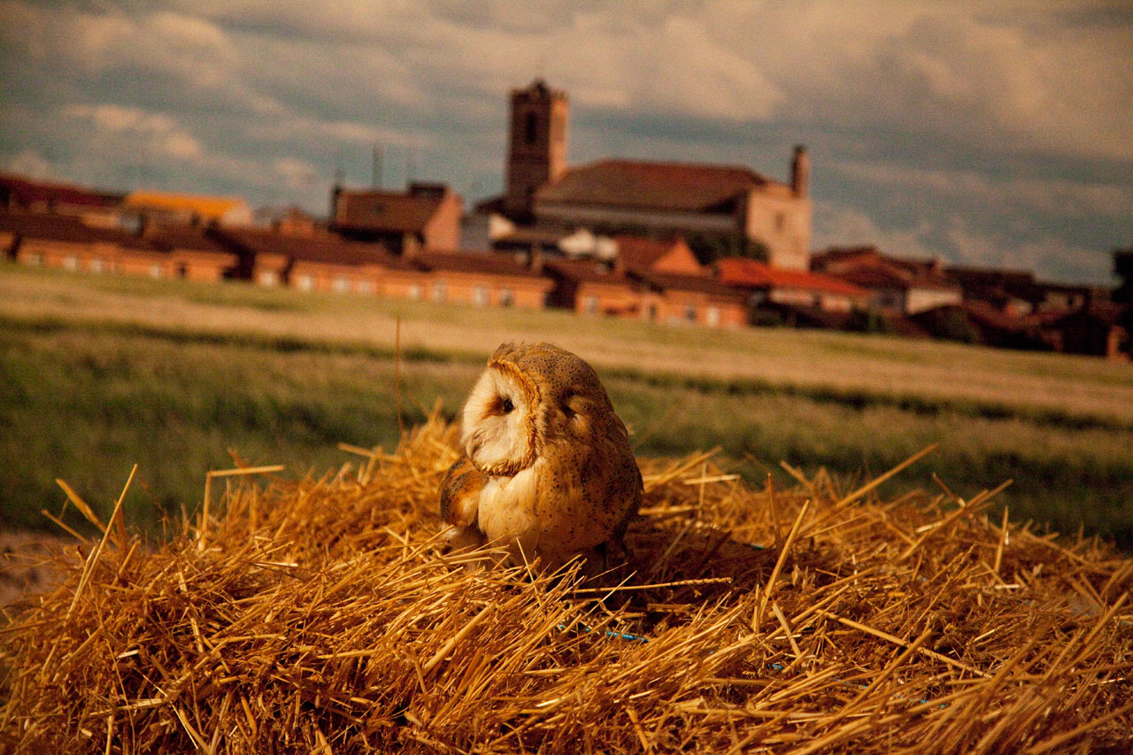 Aula de la Naturaleza, Mirador y Bodega de Plastilina