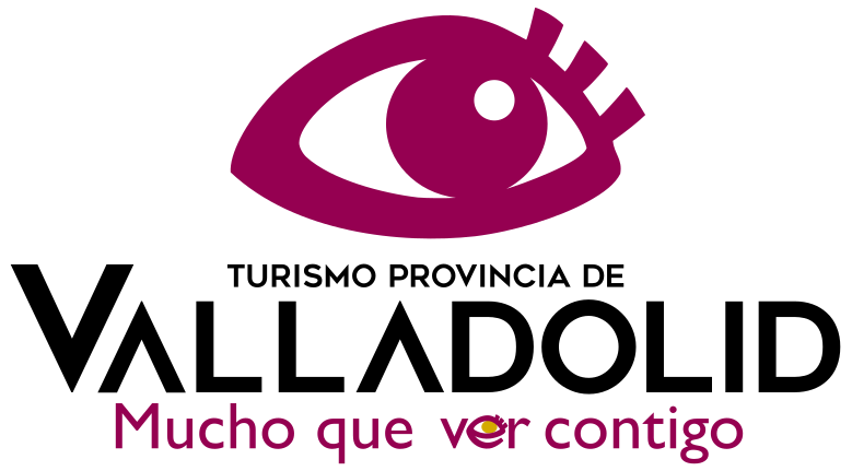 provinciadevalladolid.com